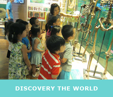 Discovery The World
