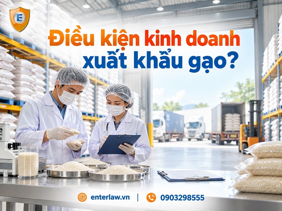 Điều kiện kinh doanh xuất khẩu gạo chi tiết mới 1.10.20206