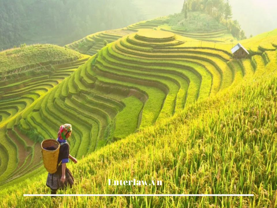 GIẤY PHÉP LỮ HÀNH NỘI ĐỊA: ĐIỀU KIỆN, HỒ SƠ, THỦ TỤC, CHI PHÍ MỚI NHẤT