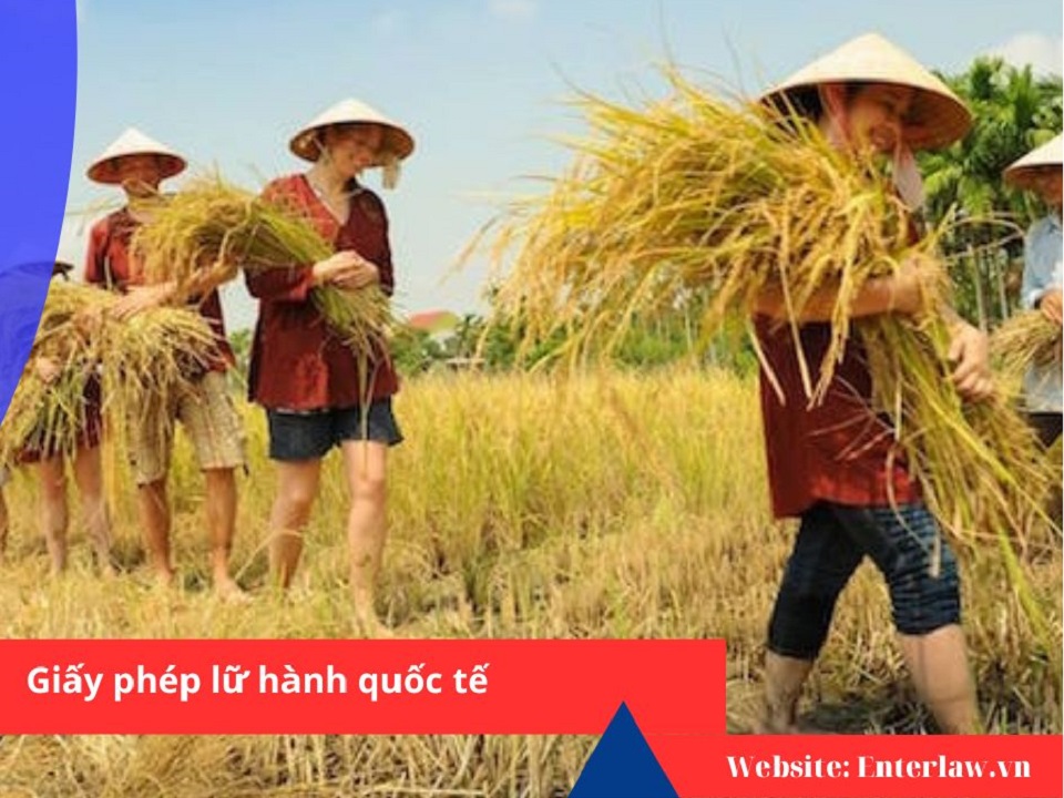 GIẤY PHÉP LỮ HÀNH QUỐC TẾ: ĐIỀU KIỆN, KÝ QUỸ, HỒ SƠ & THỦ TỤC MỚI NHẤT
