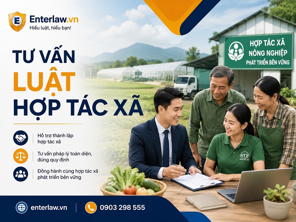 Khi nào cần tư vấn Luật Hợp tác xã? Hợp tác xã không nên tự xử lý hết