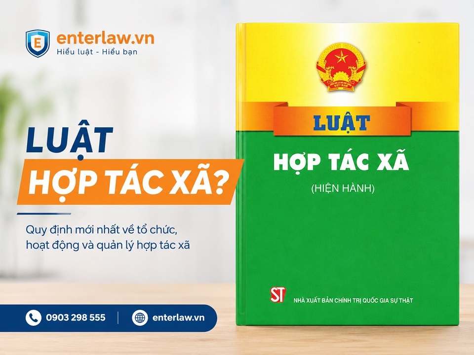 Luật Hợp tác xã 2023 – Cẩm nang đầy đủ nhất từ A-Z