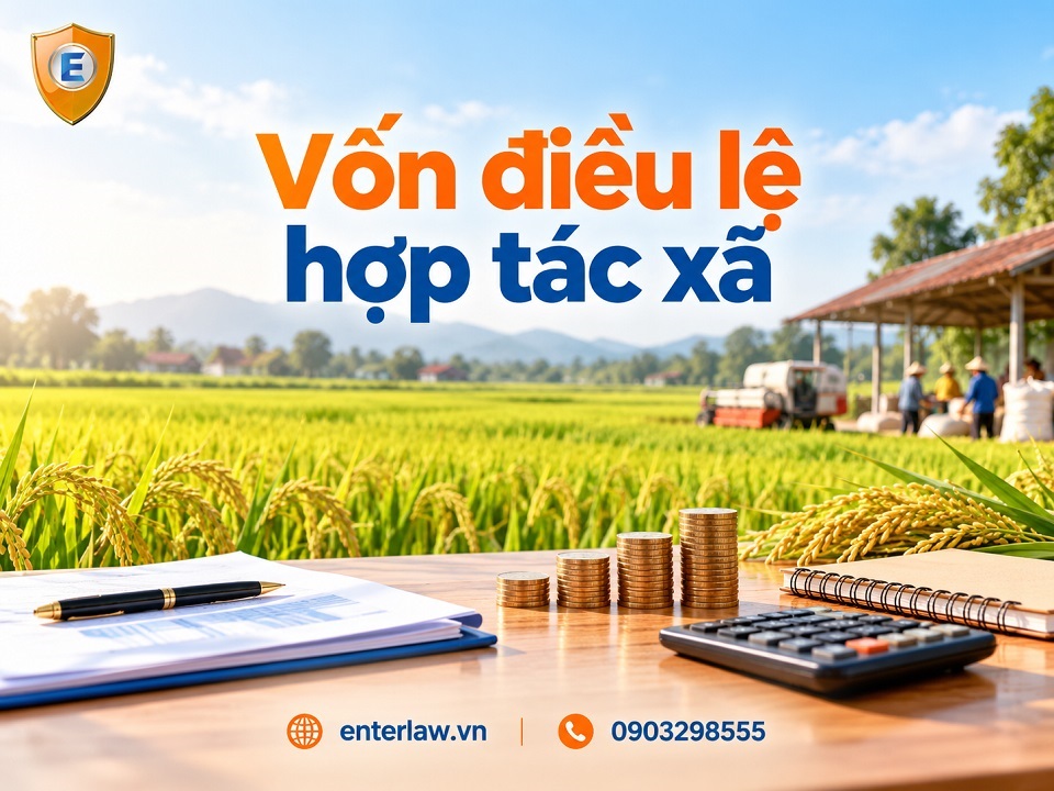 Vốn điều lệ hợp tác xã là gì? Quy định về vốn góp của thành viên