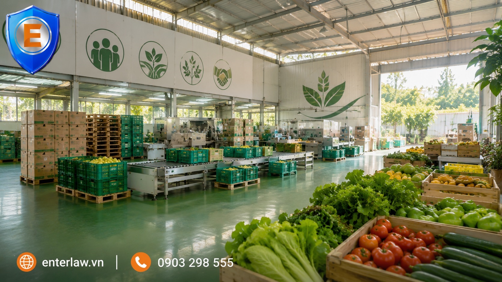 Dịch vụ thay đổi đăng ký hợp tác xã