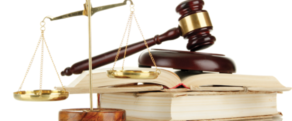 hợp đồng chuyển nhượng đất nông nghiệp