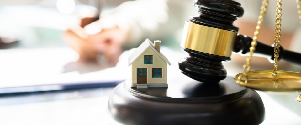 Dịch vụ tư vấn hợp đồng chuyển nhượng quyền sử dụng đất