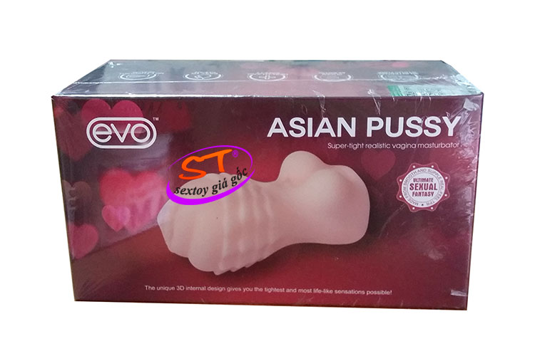 Âm đạo cầm tay Asia Pussy Evo - AD008