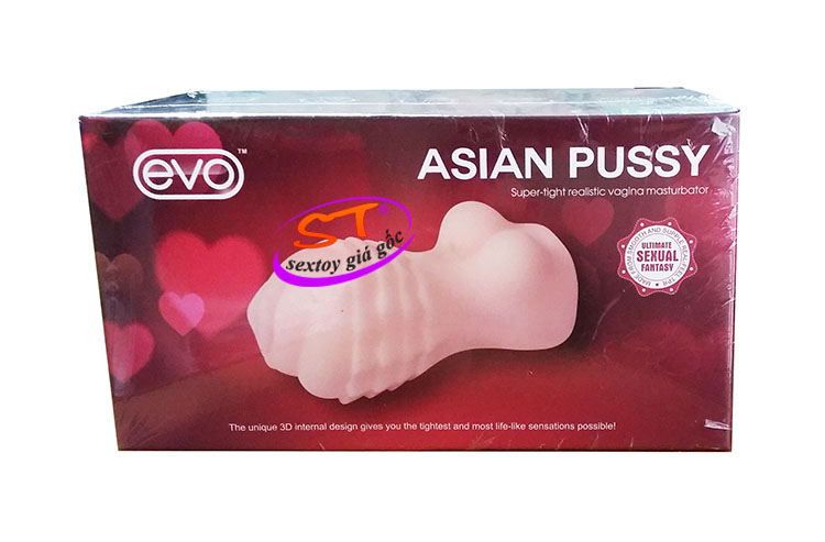 Âm đạo cầm tay Asia Pussy Evo - AD008