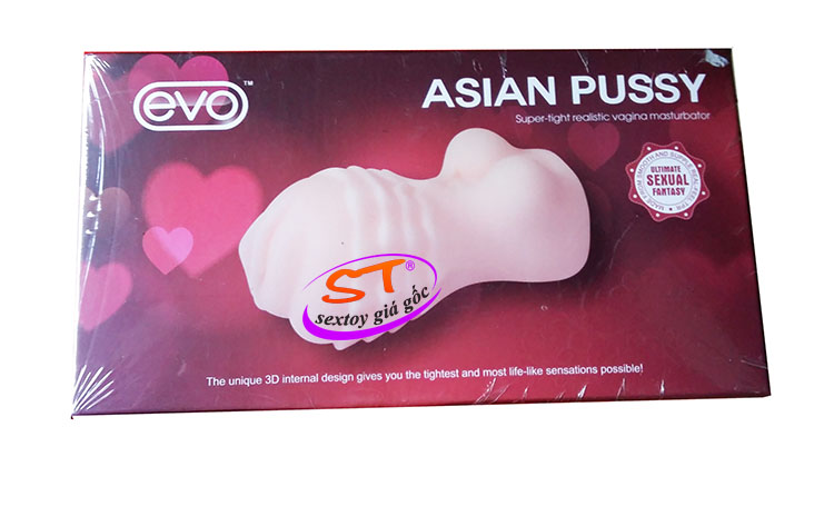 Âm đạo cầm tay Asia Pussy Evo - AD008
