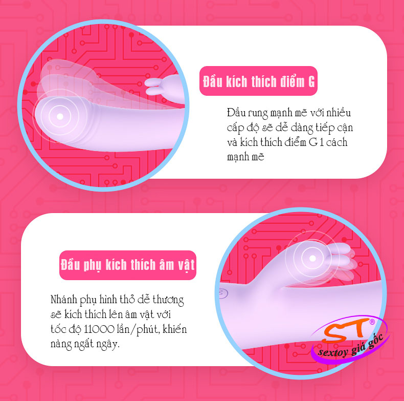 Dương vật giả cầm tay cao cấp Leten - DC038