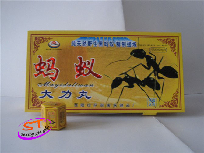 Thảo dược tăng cường sinh lý nam kiến đen - SL13