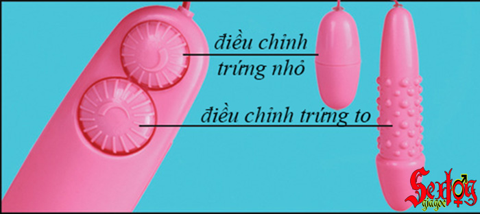Trứng rung đôi-màu hồng ngọt ngào - DC04C