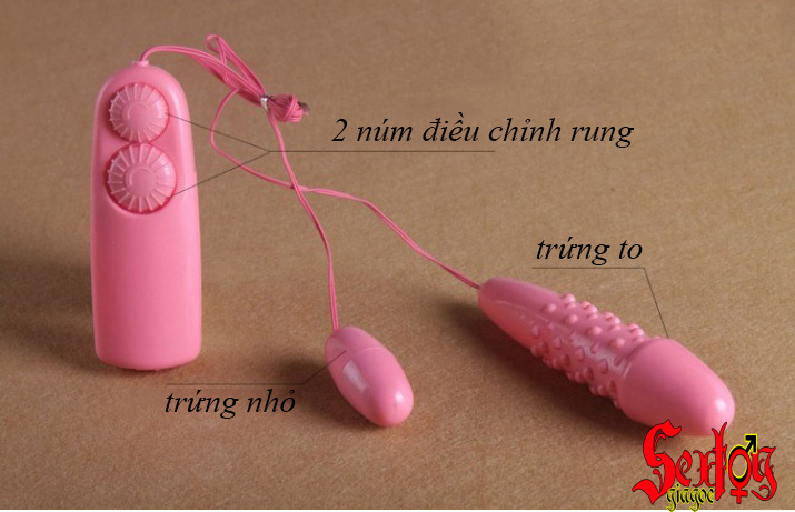 Trứng rung đôi-màu hồng ngọt ngào - DC04C