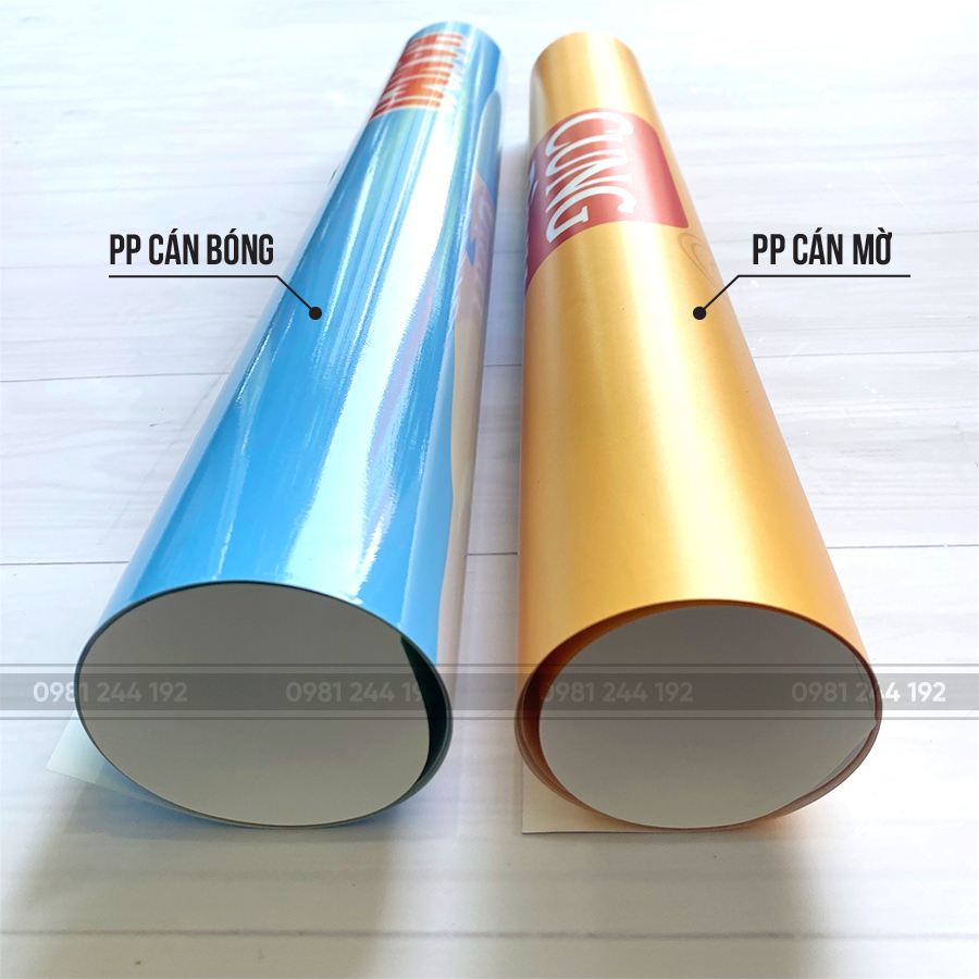 in pp cán bóng