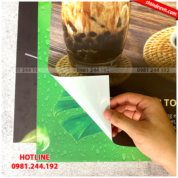 backlist film hộp đèn