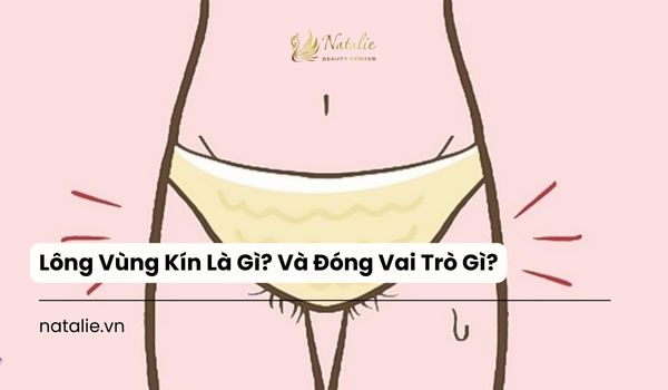 lông vùng kín là gì