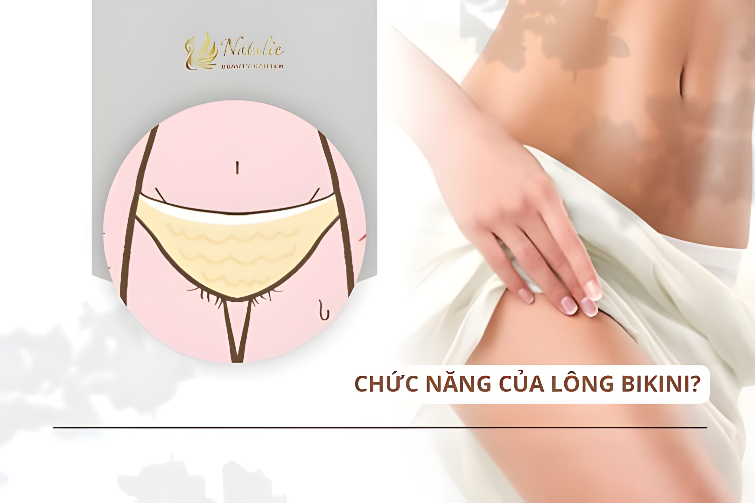 chức năng lông bikini