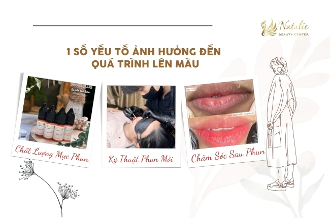 1 số yếu tố ảnh hưởng lên màu