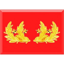 CÀNH TÙNG