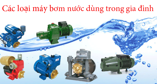 Hình ảnh bài viết