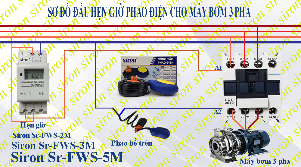 Hình ảnh bài viết
