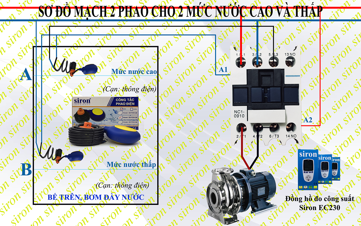 Hình ảnh bài viết