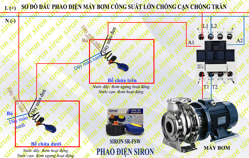 Hình ảnh bài viết