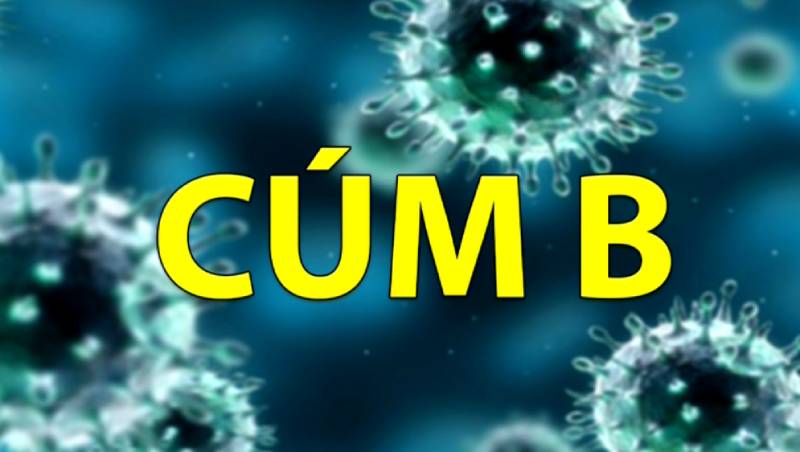 Nhấn vào ảnh để phóng to Dịch cúm B phổ biến và nguy hiểm thời điểm giao mùa
