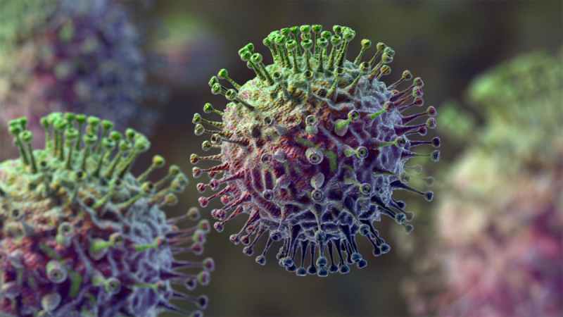 Nhấn vào ảnh để phóng to Virus Cúm B là nguyên nhân gây bệnh cúm ở người có sức đề kháng kém, chưa được tiêm phòng vaccine
