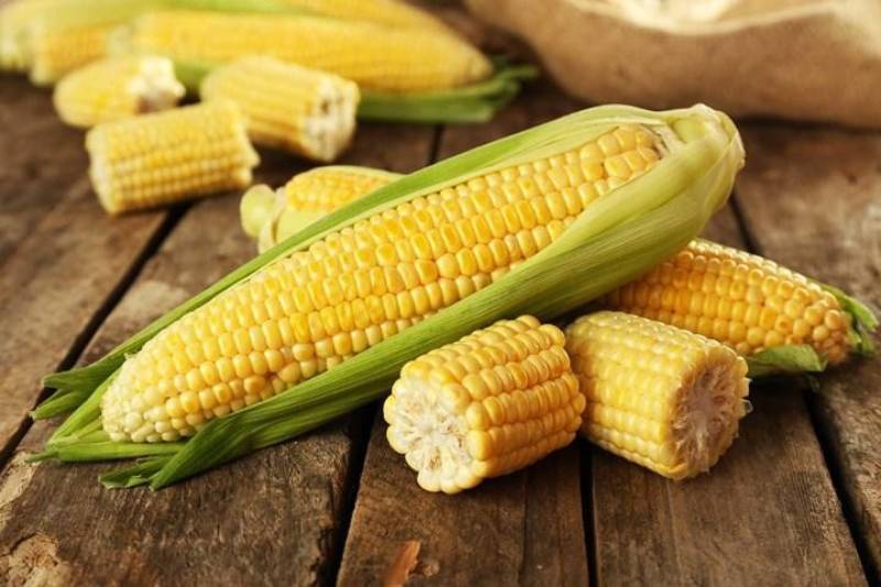 Bắp ngô thực phẩm tốt cho sức khỏe người bị thiếu máu cơ tim