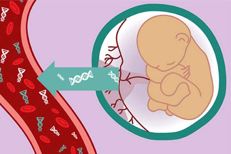 xét nghiệm nipt làm từ tuần bao nhiêu an toàn cho mẹ và bé được bac sĩ chuyên khoa sản trả lời