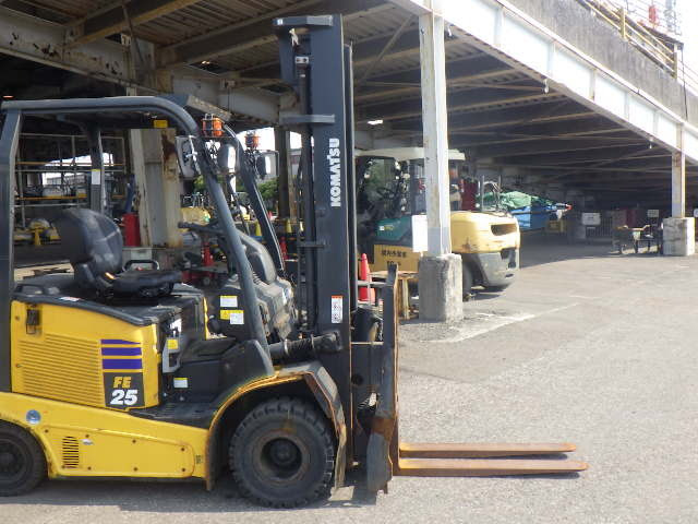Xe nâng điện Komatsu 2.5 tấn FE25-1 (310193), sản xuất năm 2021