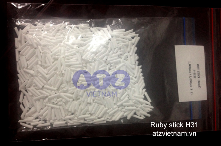 Ruby stick H31 do ATZ Việt Nam phân phối