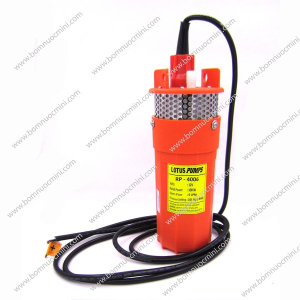 BÆ¡m Hoáº£ Tiá»…n RP-4006 12VDC 24VDC