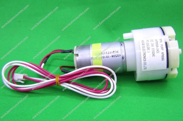 Bơm Sục Khí Hồ Cá 6V - 24V