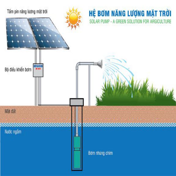 Bơm nước sử dụng năng lượng mặt trời 12v, 24v, 48v,....