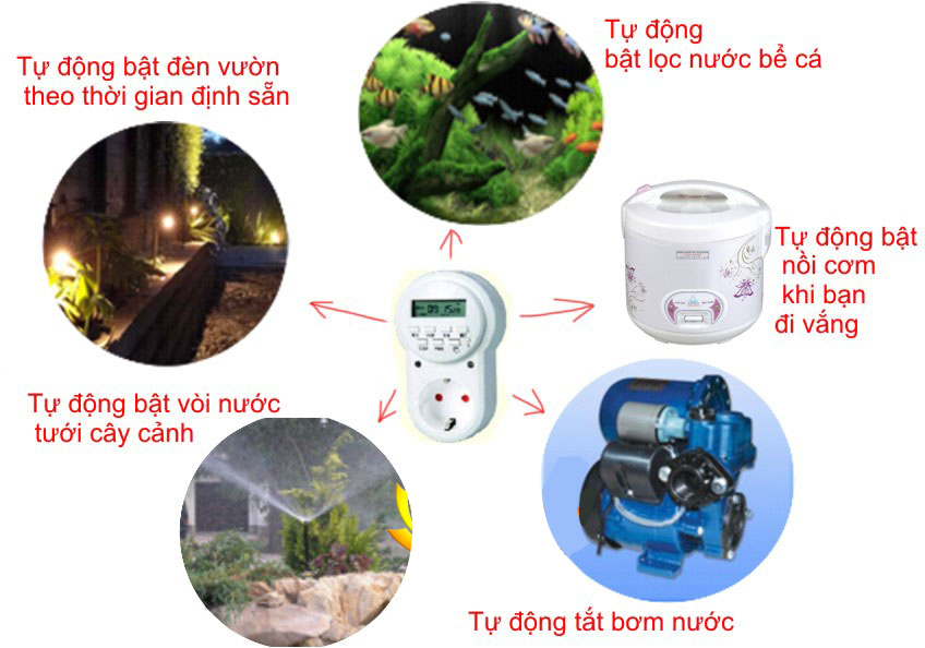 thiết bị bật tắt hẹn giờ cố định