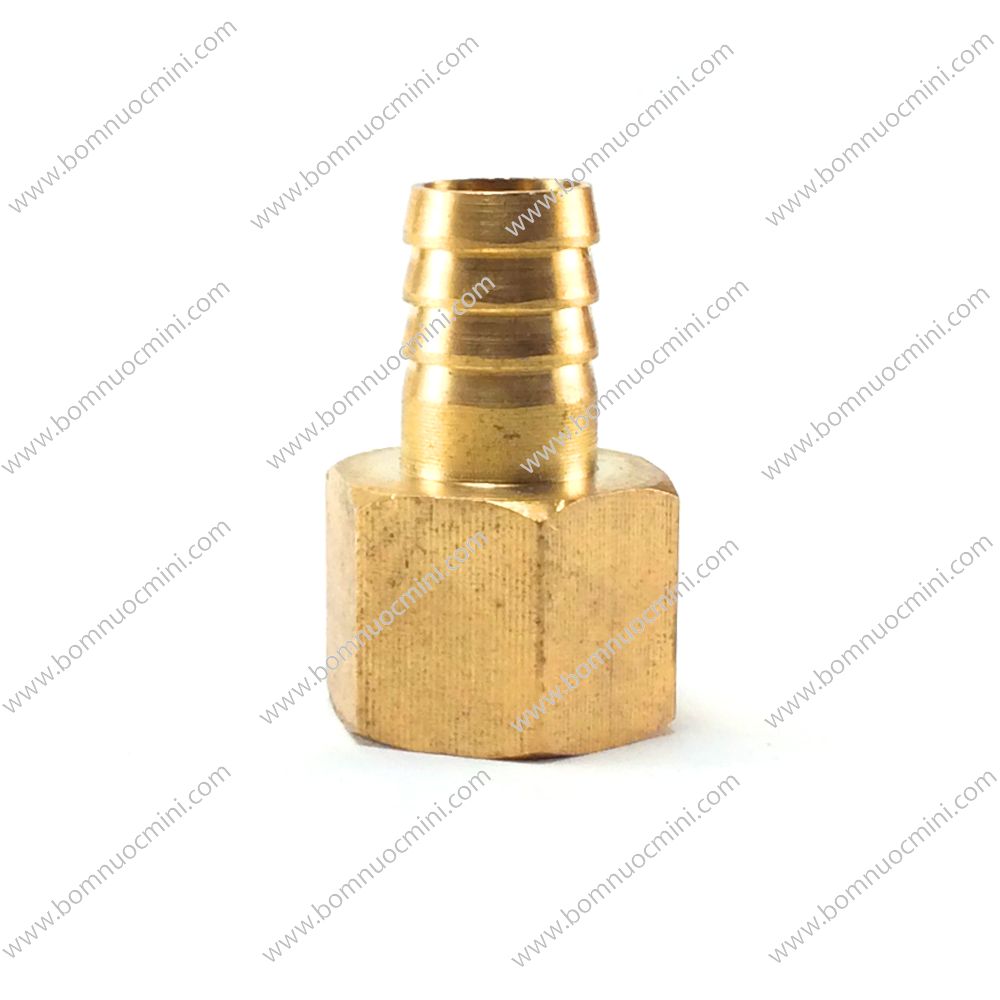 Đầu nối ống ren trong 21 đuôi chuột 14mm