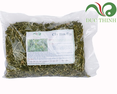 Cây bìm bịp khô