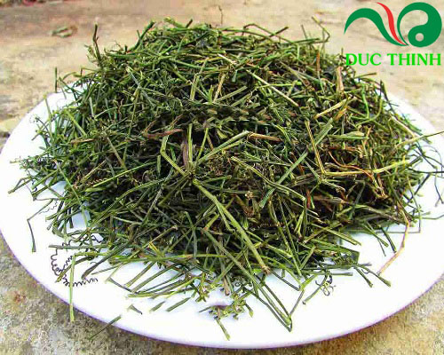 Giảo cổ lam được phơi khô