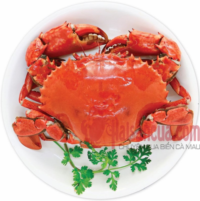 Các Lưu Ý Khi Hấp Bia