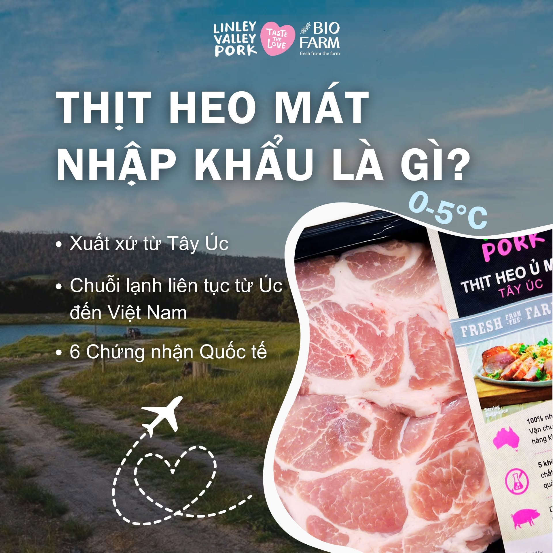 Heo Mát Nhập Khẩu Là Gì? Vì Sao Ngày Càng Nhiều Gia Đình Việt Chọn Thịt Heo Mát Úc?