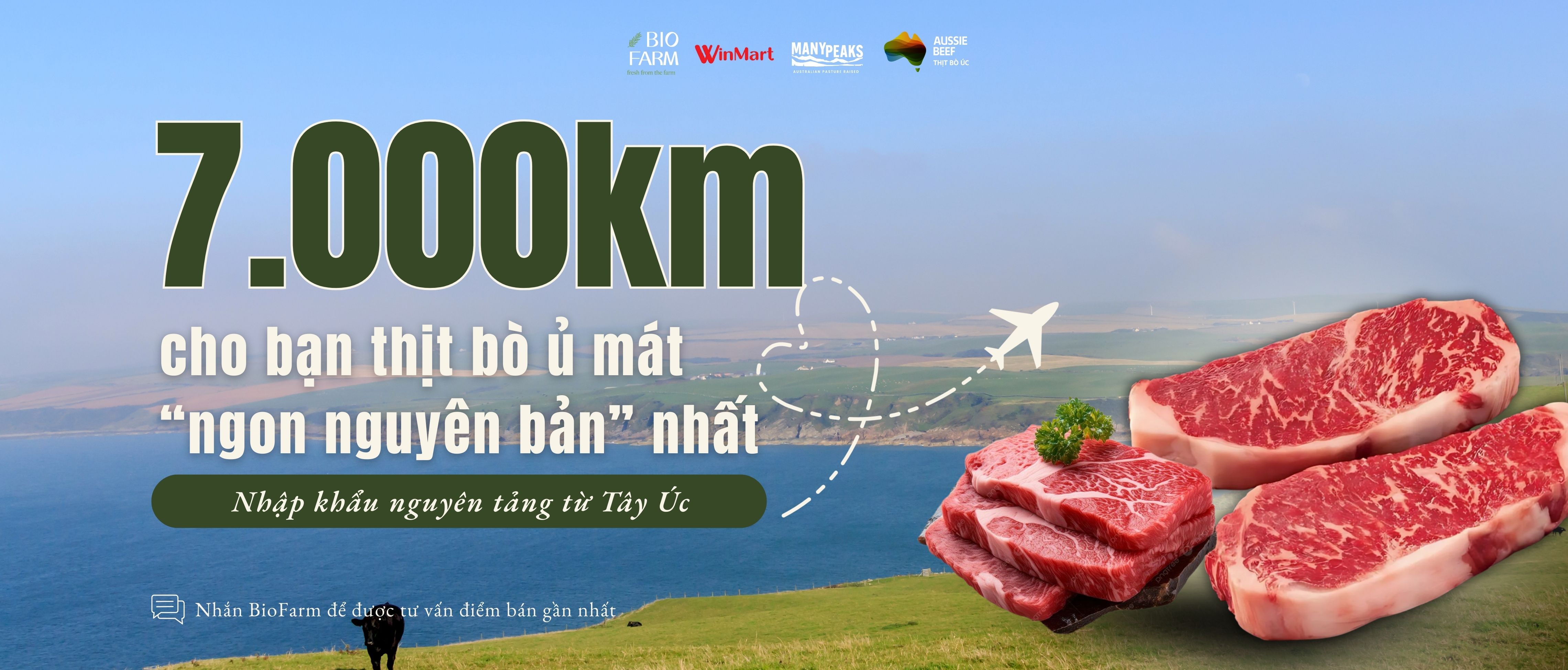 Thịt Bò Mát Angus ManyPeaks – Nhập Khẩu Nguyên Tảng Từ Tây Úc