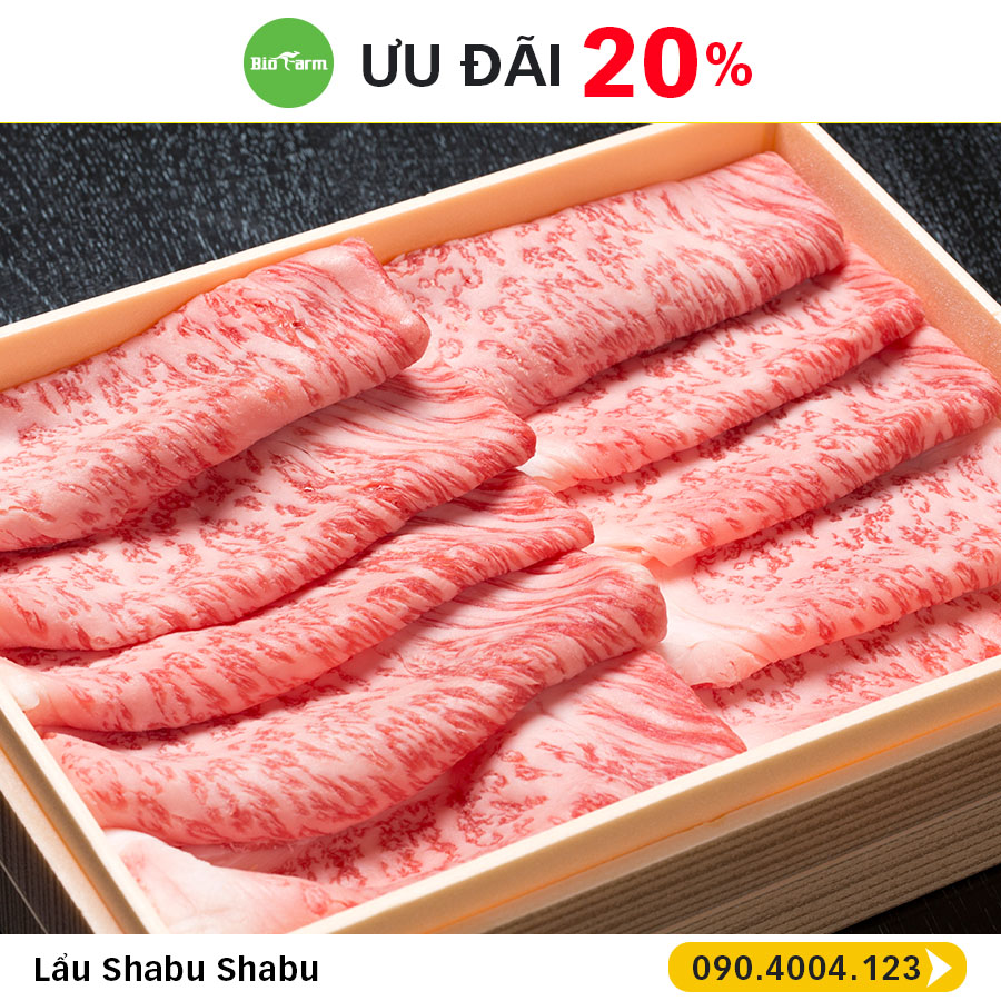 🔥🔥🔥BA NGÀY VÀNG GIẢM GIÁ TỚI 𝟐𝟎% CHO TẤT CẢ CÁC LOẠI 𝗧𝗛𝗜̣𝗧 𝗕𝗢̀ 𝗡𝗛𝗔̣̂𝗧🇯🇵