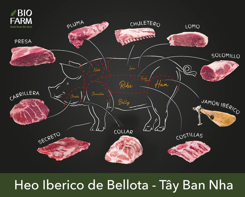 THƯỞNG THỨC 16 LỰA CHỌN THỊT HEO IBERICO NGON NHẤT CÙNG MẬT ONG MELI BỈ