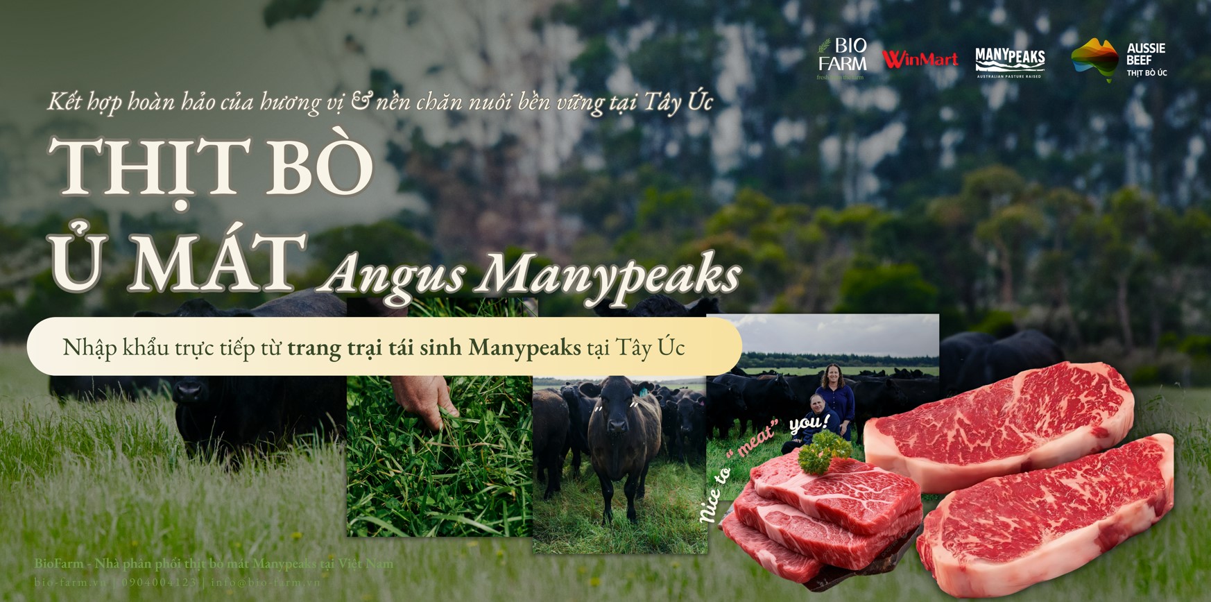 Thịt Bò Ủ Mát Angus Manypeaks – Từ Trang Trại Tái Sinh Đến Bữa Ăn Việt