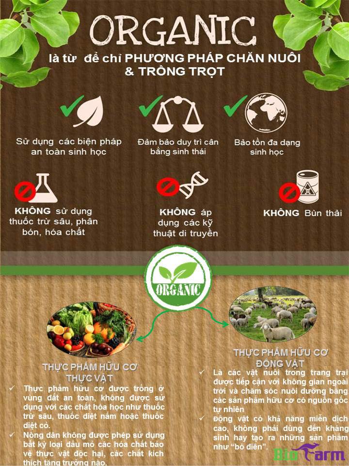Thực phẩm hữu cơ là gì Hiểu về thực phẩm hữu cơ Organic food