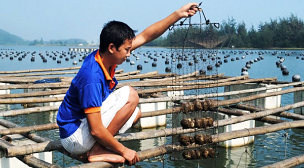 tour cau ca lan ngam san ho