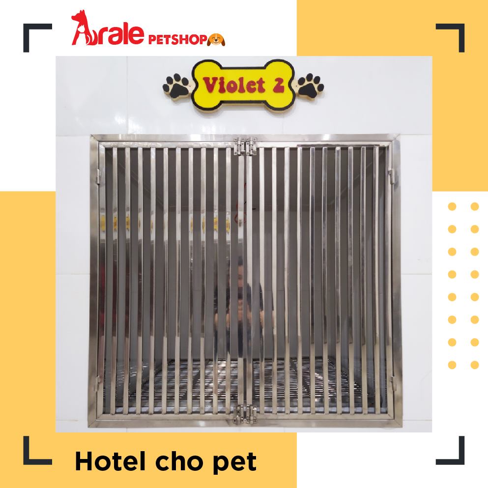 PET HOTEL - DỊCH VỤ TRÔNG GIỮ MÈO