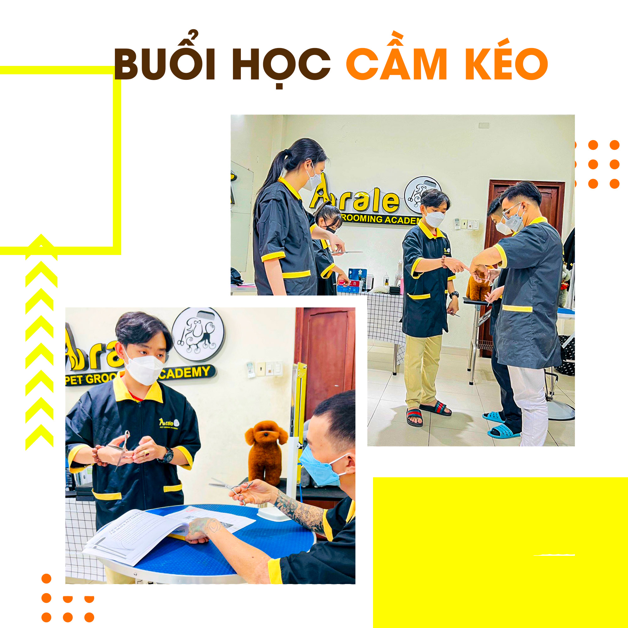 KHÓA HỌC CẮT TỈA LÔNG CHÓ MÈO LEVEL C